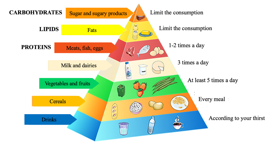 The Food Pyramid for a balanced diet