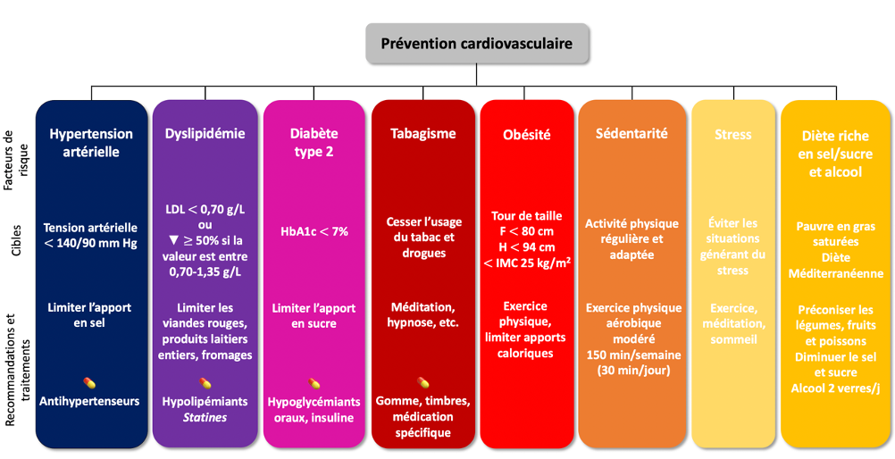 La prévention cardiovasculaire